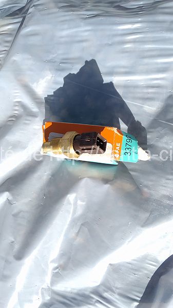 sonde marron neuve, 2 pin